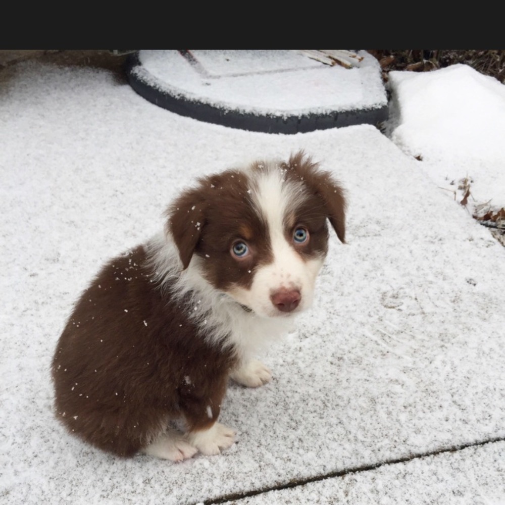 Meet your Posher, Irina